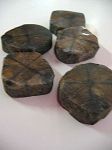 CHIASTOLITE
